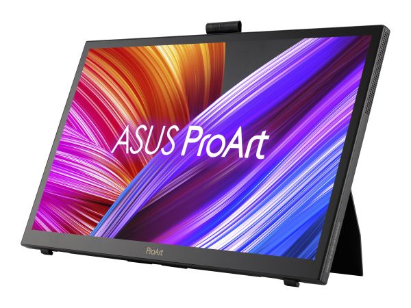 ASUS ProArt PA169CDV - LED-Monitor - 39.6 cm (15.6")