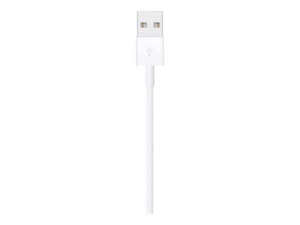 Apple Lightning-Kabel - Lightning männlich zu USB männlich