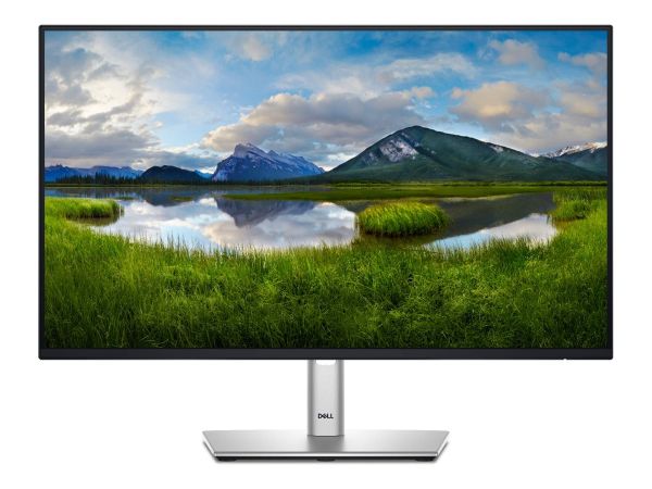 Dell P2425HE - LED-Monitor - 61 cm (24")