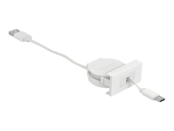 Delock USB-Kabel - USB (M) zu 24 pin USB-C (M)