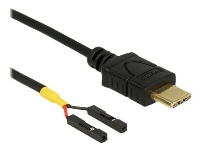 Delock USB-Kabel - 24 pin USB-C (M) zu 2-poliger USB-Header (W)