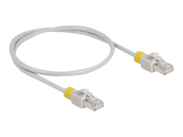 Delock Patch-Kabel - RJ-45 (M) zu RJ-45 (M)