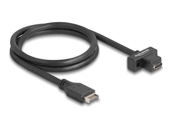 Delock USB-Kabel - 20-polig USB Typ E (M)