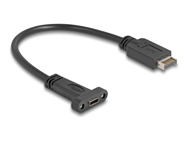 Delock Internes USB-Kabel - 24 pin USB-C (W)