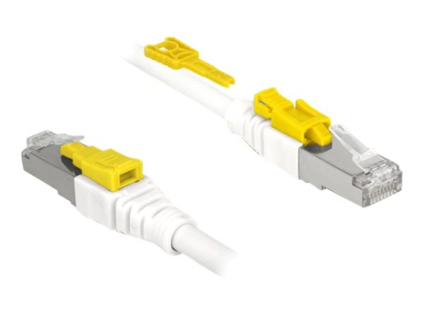 Delock Secure - Patch-Kabel - RJ-45 (M) bis RJ-45 (M)