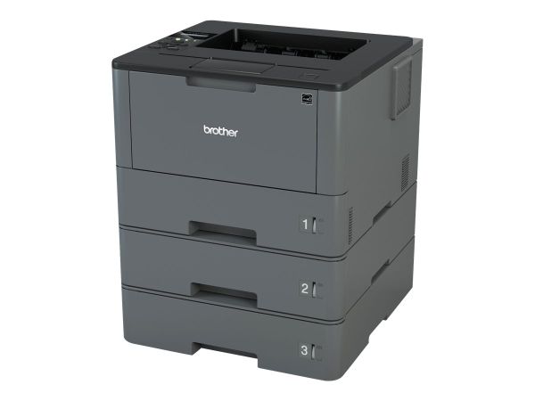 Brother HL-L5100DNTT - Lockable - Drucker - s/w