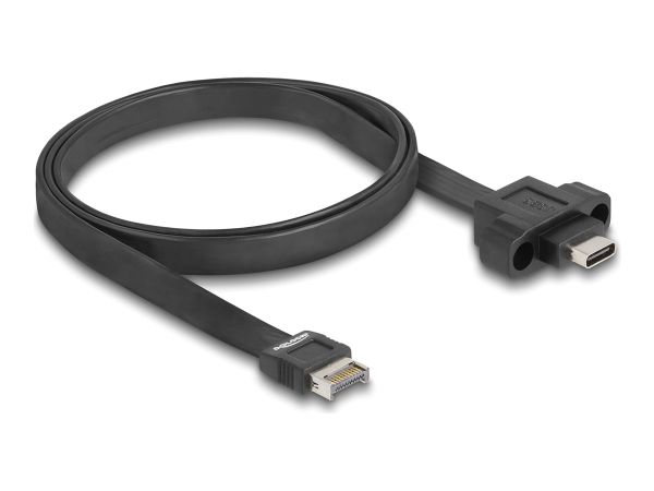 Delock USB-Kabel - 20-polig USB Typ E (M)