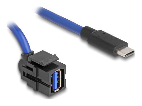 Delock USB-Kabel - 24 pin USB-C (M) gerade zu USB Typ A (W)