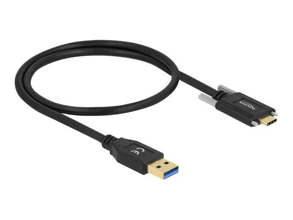 Delock USB-Kabel - 24 pin USB-C (M) zu 24 pin USB-C (M)