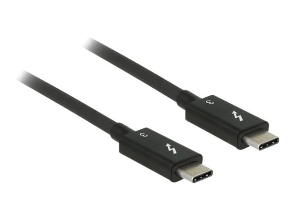 Delock Thunderbolt-Kabel - USB-C (M) bis USB-C (M)