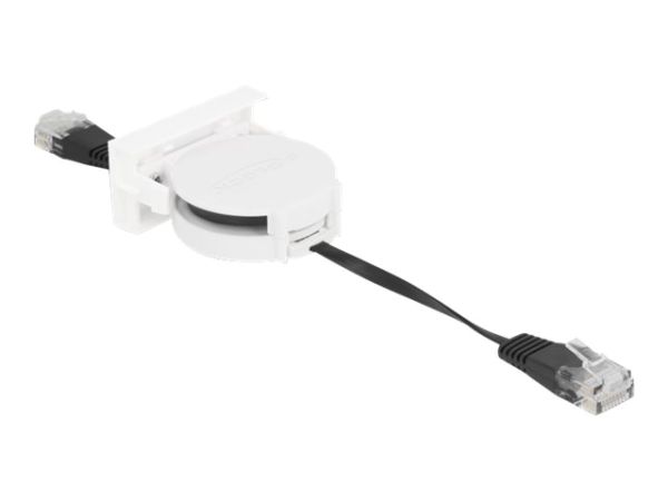 Delock Patch-Kabel - RJ-45 (M) zu RJ-45 (M)