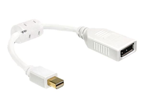 Delock DisplayPort-Adapter - DisplayPort (W)