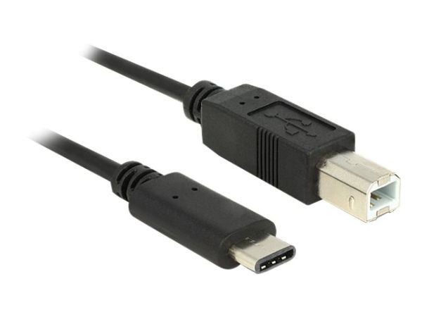 Delock USB-Kabel - USB-C (M) bis USB Typ B (M)