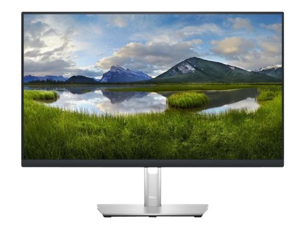 DELL P Series 24 USB-C-Hub-Monitor – P2423DE, 60,5