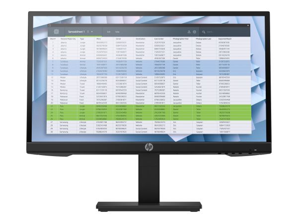 HP P22 G4 - P-Series - LED-Monitor - 54.6 cm (21.5")