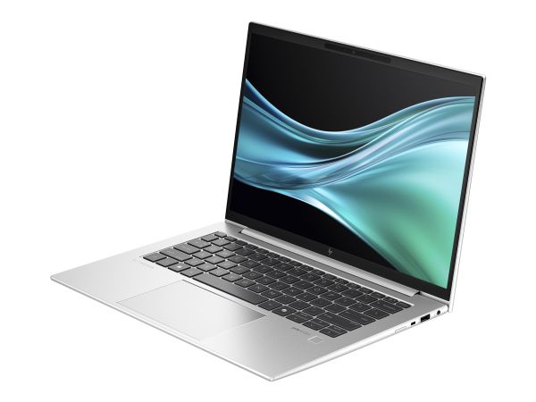 HP EliteBook 845 G11 Notebook - AMD Ryzen 7 Pro 8840HS - Win 11 Pro - Radeon 780M - 32 GB RAM - 1 TB