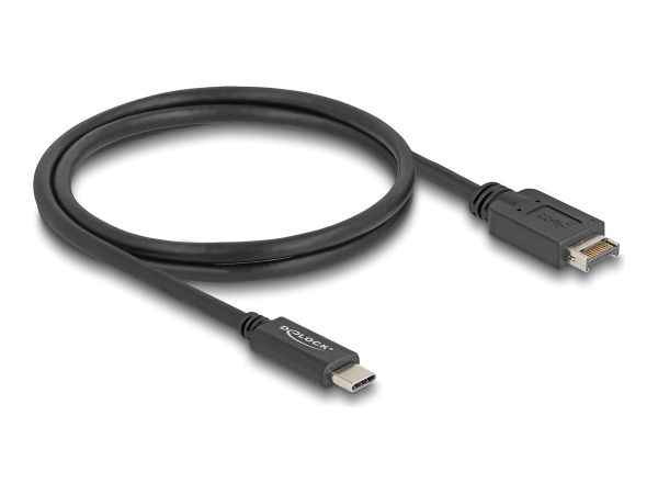 Delock USB-Kabel - 20-polig USB Typ E (M)