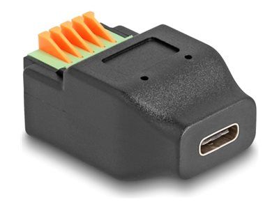 Delock USB-Adapter - 5-poliger Anschlussblock zu 24 pin USB-C (W)